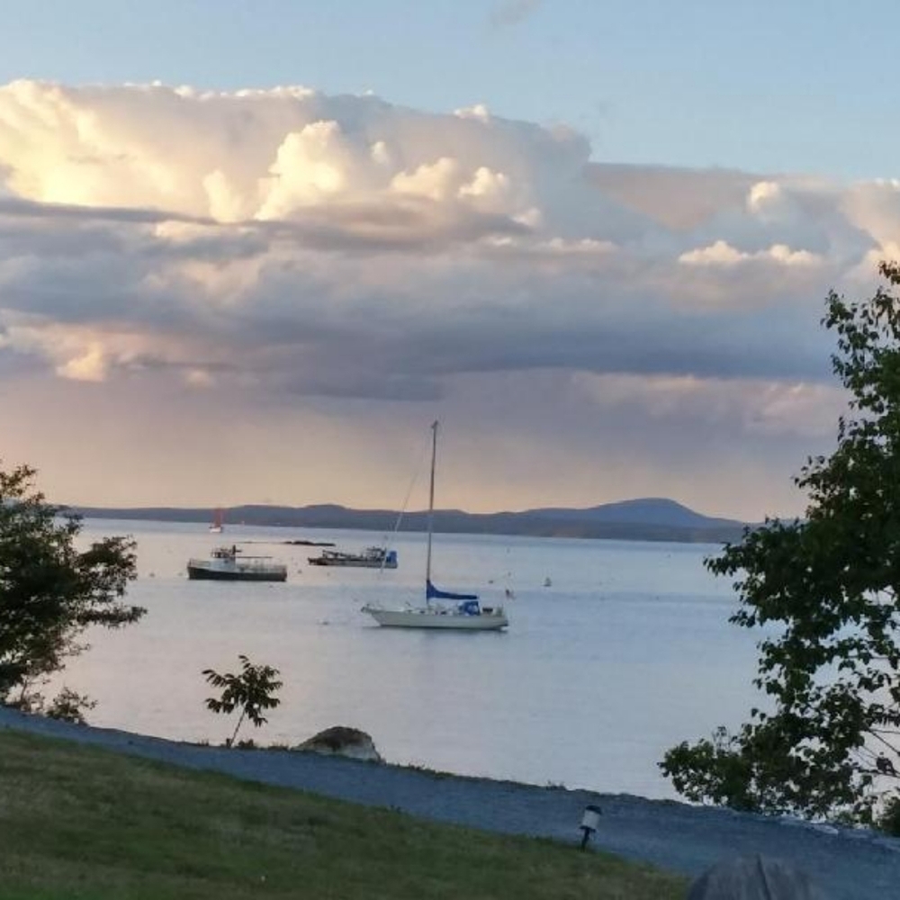 Meet your Posher, Fortunata